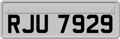 RJU7929