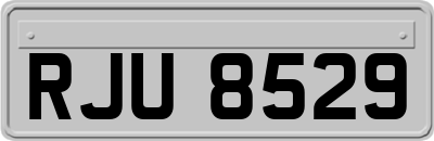 RJU8529