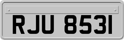 RJU8531