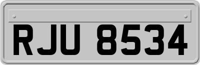 RJU8534