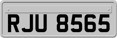 RJU8565