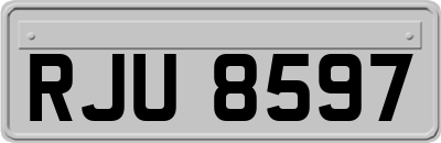 RJU8597