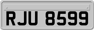 RJU8599