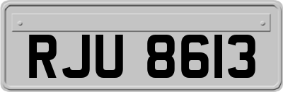 RJU8613