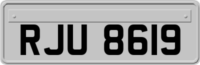 RJU8619