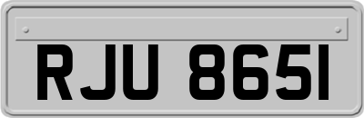 RJU8651