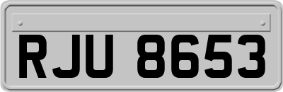 RJU8653