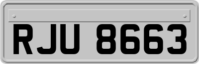 RJU8663