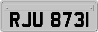 RJU8731