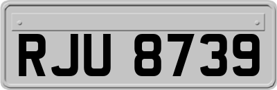 RJU8739