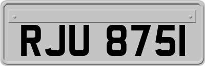 RJU8751