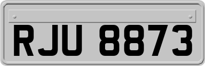 RJU8873