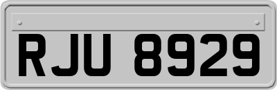 RJU8929