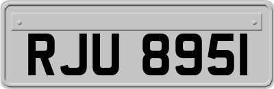 RJU8951