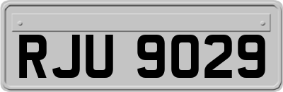 RJU9029