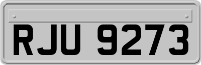 RJU9273