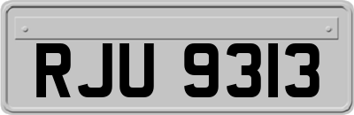 RJU9313