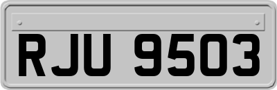 RJU9503