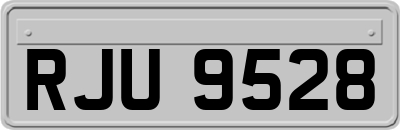 RJU9528