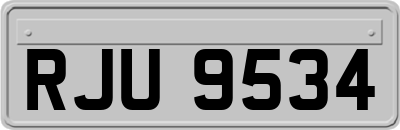 RJU9534