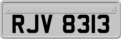 RJV8313