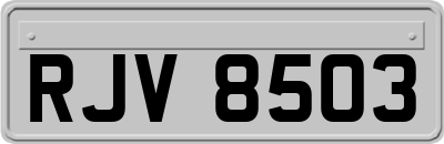 RJV8503