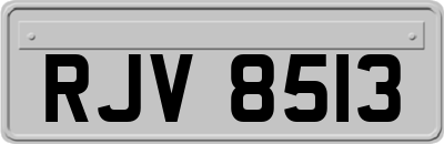 RJV8513