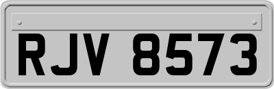 RJV8573