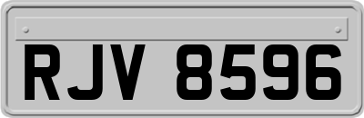 RJV8596