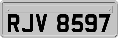 RJV8597