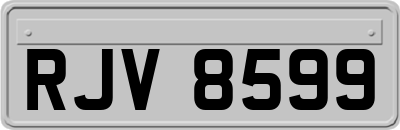 RJV8599