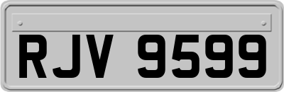 RJV9599