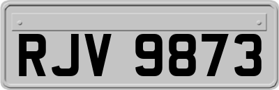 RJV9873