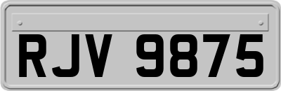 RJV9875