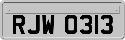 RJW0313