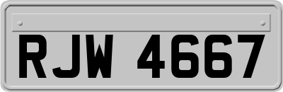 RJW4667