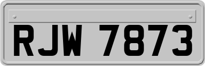 RJW7873