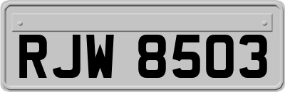 RJW8503