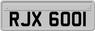 RJX6001