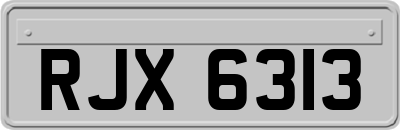 RJX6313