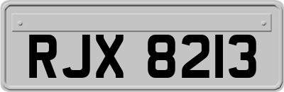 RJX8213