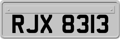 RJX8313