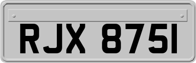 RJX8751