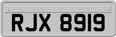 RJX8919