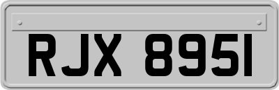 RJX8951