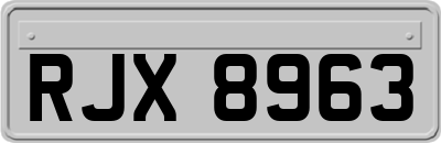 RJX8963