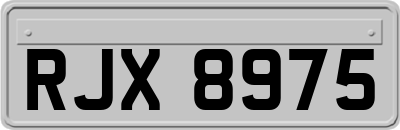 RJX8975