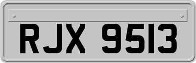 RJX9513