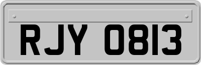 RJY0813