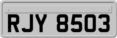 RJY8503